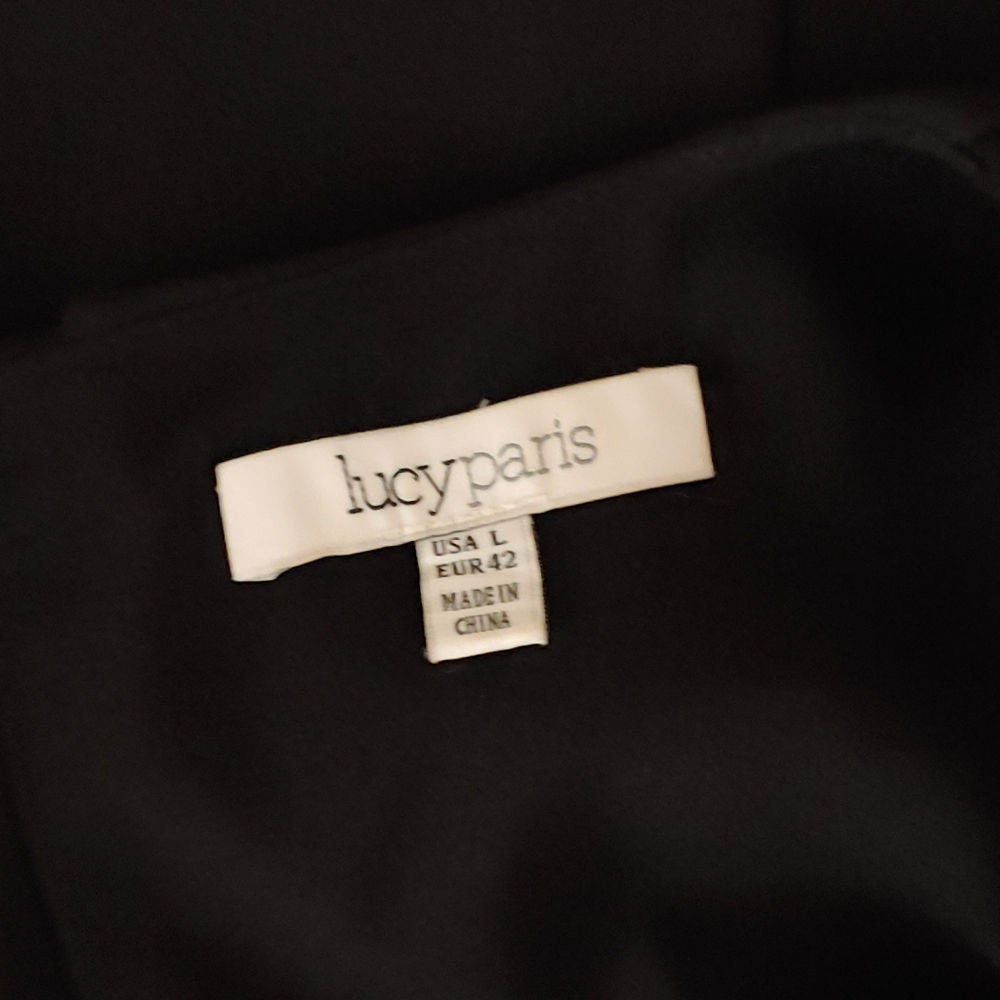 Lucy Paris dress.  SIZE L - Picture 7 of 7